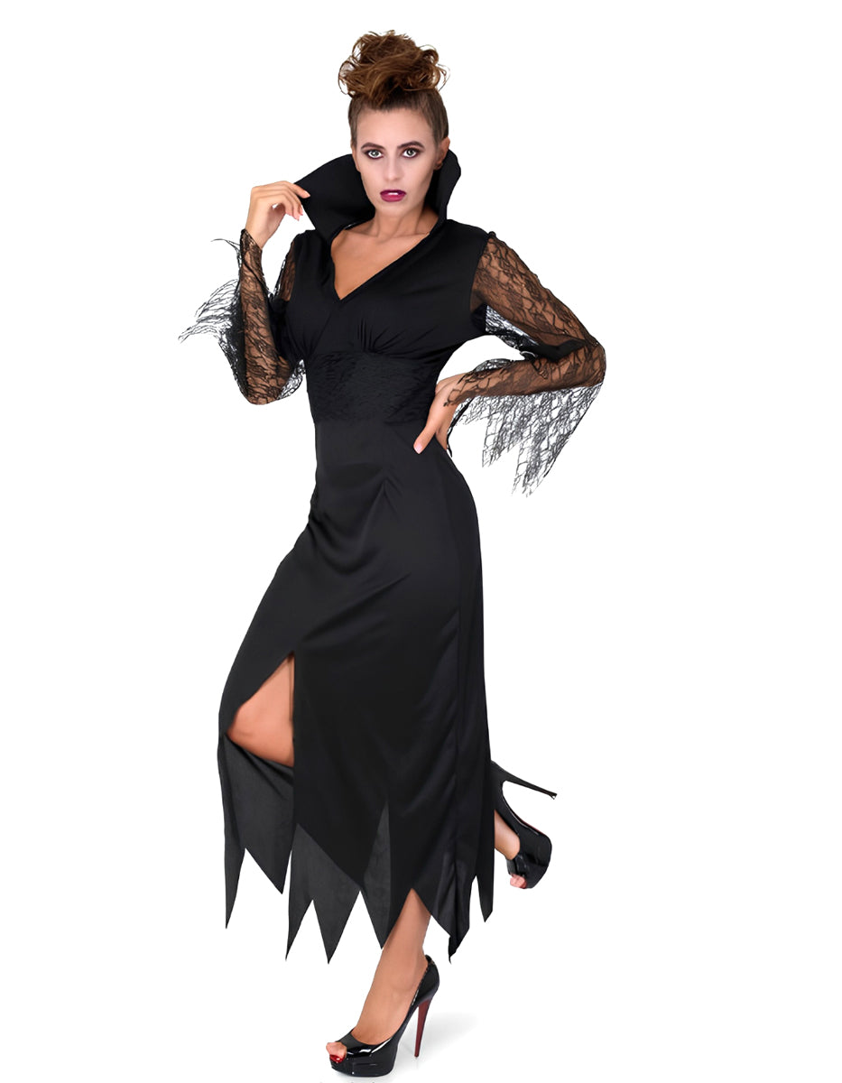 Wicked Sorceress Womens Halloween Costume