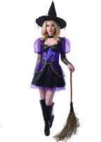 Purple and Black Witch Costume for Women - main image