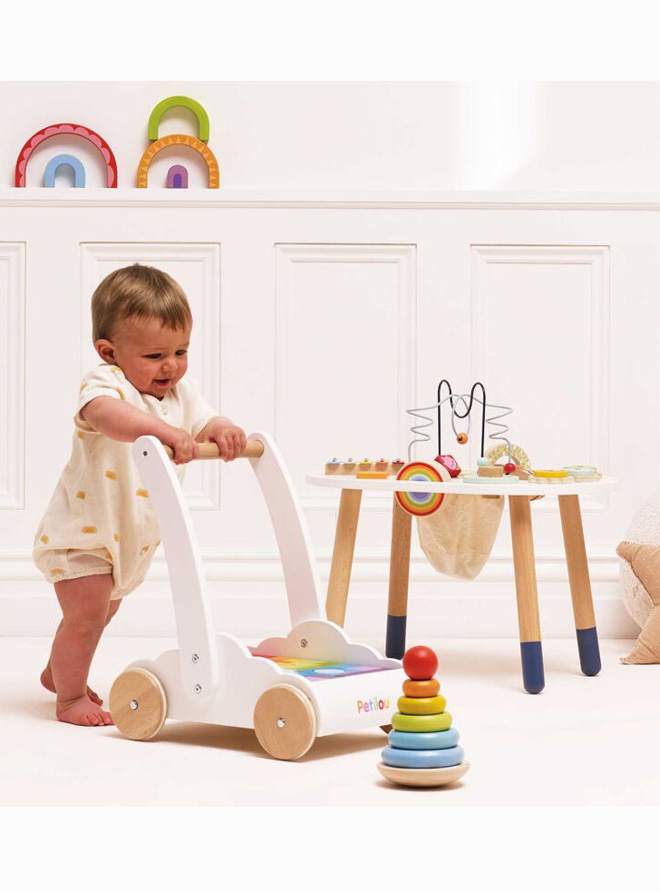 Wooden Baby Walker with 45 Piece Rainbow Blocks
