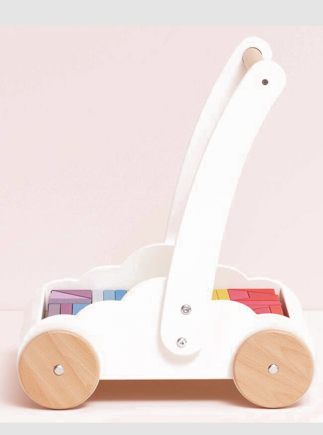 Wooden Baby Walker with 45 Piece Rainbow Blocks