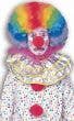 Rainbow Afro Adult's Wig