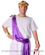 Adult's Roman Toga Julius Caesar Fancy Dress Plus Size Costume Close Up Image