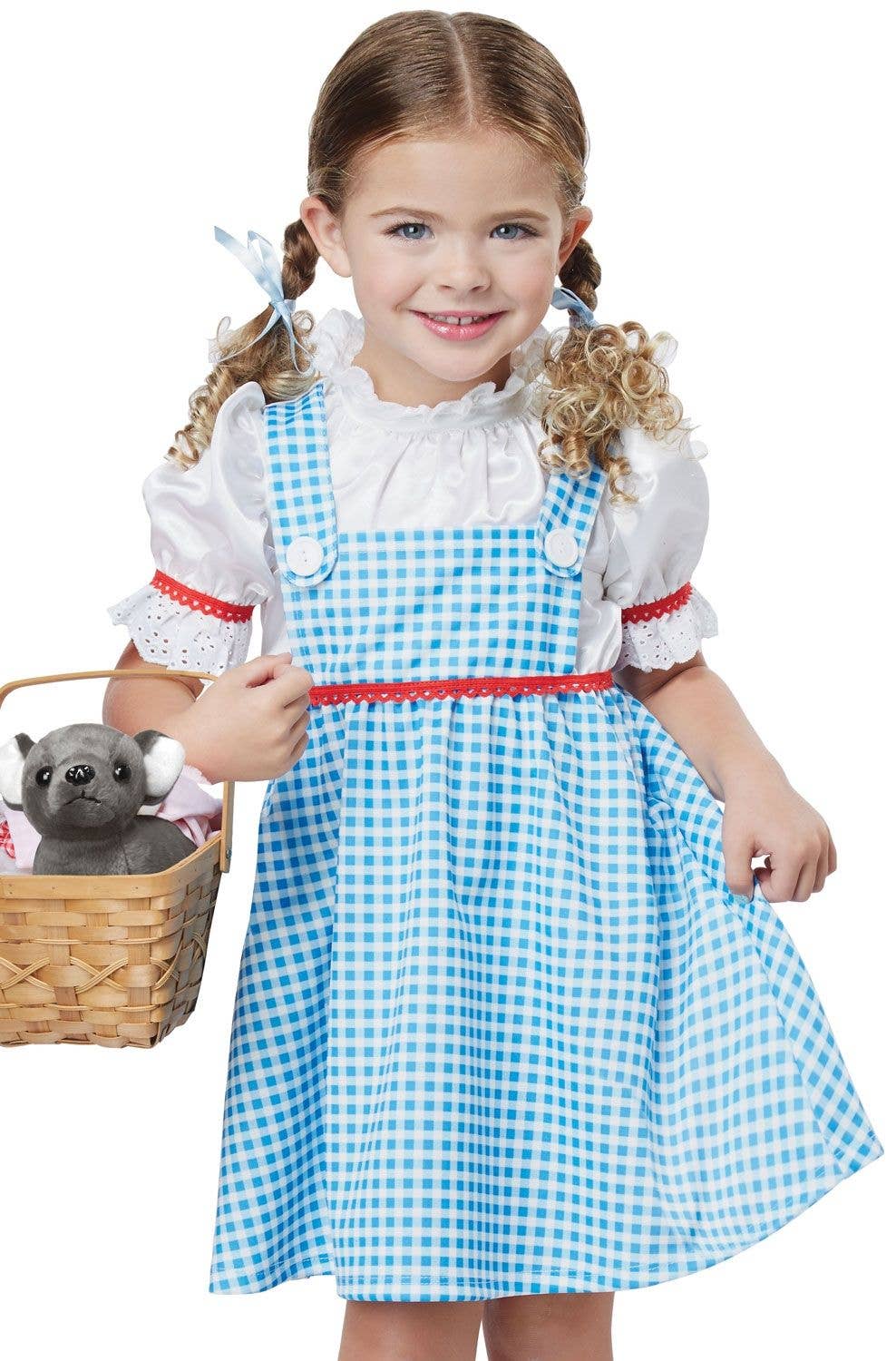 Dorothy Blue Wizard of Oz Costume | Book Week Costumes