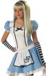 Alice in Wonderland Traditional Blue Fancy Dress for Girls Costume - Close Image