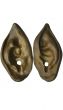 Special FX Pointed Brown Latex Werewolf Ears Costume Accessory Image