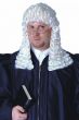 White Judge Wig Costume Accessory
