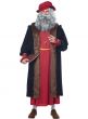 Men's Historical Leonardo Da Vinci Fancy Dress Costume