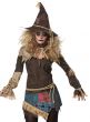 California Costumes Women's Creepy Scarecrow Halloween Costume Close Image