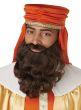 Image of Wise Man Men’s Brown Beard and Moustache Set - Main Photo