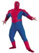 Men's Plus Size Spiderman Superhero Costume