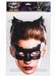 Flat Cardboard Catwoman Costume Mask Packaging Image