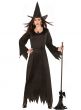 Women's Classic Black Witch Halloween Fancy Dress Costume Main Image