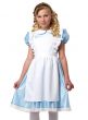 Girl's Alice in Wonderland Fancy Dress Costume Close Up View