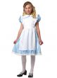 Girl's Alice in Wonderland Fancy Dress Costume Front View