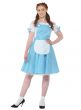Wizard of Oz Dorothy Women's Costume Main Image