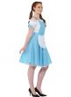 Wizard of Oz Dorothy Women's Costume Side Image