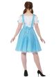 Image of Darling Dorothy Women's Plus Size Wizard of Oz Costume - Back View