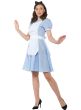 Womens Alice in Wonderland Female Disney Characters Costume - Alternate Image