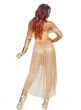 Sun Goddess Womens Golden Fancy Dress Costume - Back Image