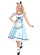 Womens Deluxe Quality Alice in Wonderland Movie Costumes - Front Image
