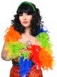 Multi Colour Rainbow Feather Boa Mardi Gras Costume Accessory - Main Image