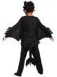 How To Train Your Dragon Toothless Dress Up Costume Back Image