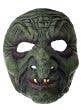 Ugly Green Witch Latex Halloween Mask