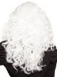 Curly White Lace Front Women's Fashion Wig Back Image
