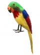 Large Life Size Parrot Accessory