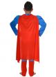 Boys Muscle Superman Fancy Dress Costume - Back Image
