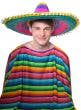 Adult's Large Multi Colour Straw Mexican Sombrero Costume Accessory Hat