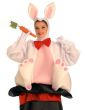 Magic Rabbit out of a Hat Circus Costume - Close Image