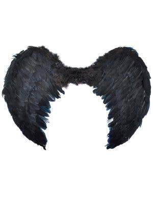 Image of Large 80cm Black Feather Dark Angel Wings