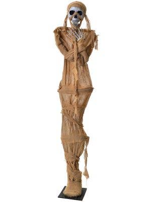 Image of Life Size Cursed Mummy on Stand Halloween Decoration