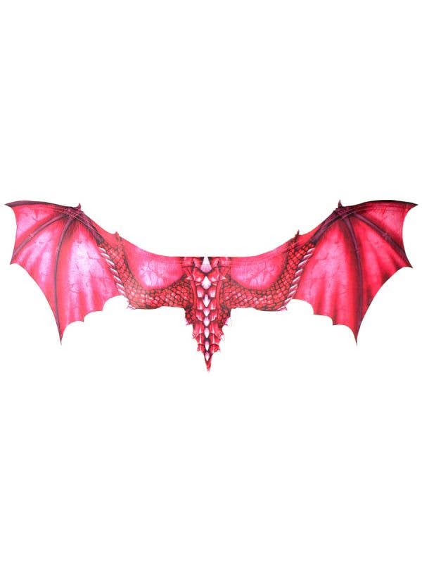 Image of Large 95cm Crimson Red Dragon Costume Wings