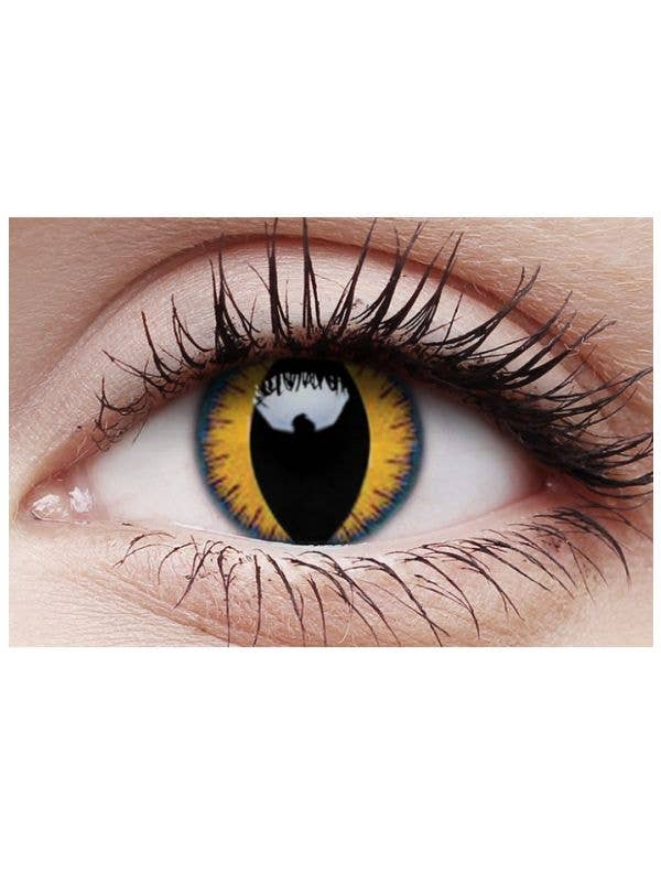 Orange Cats Eyes Contact Lenses Wolf Eyes Halloween Contacts