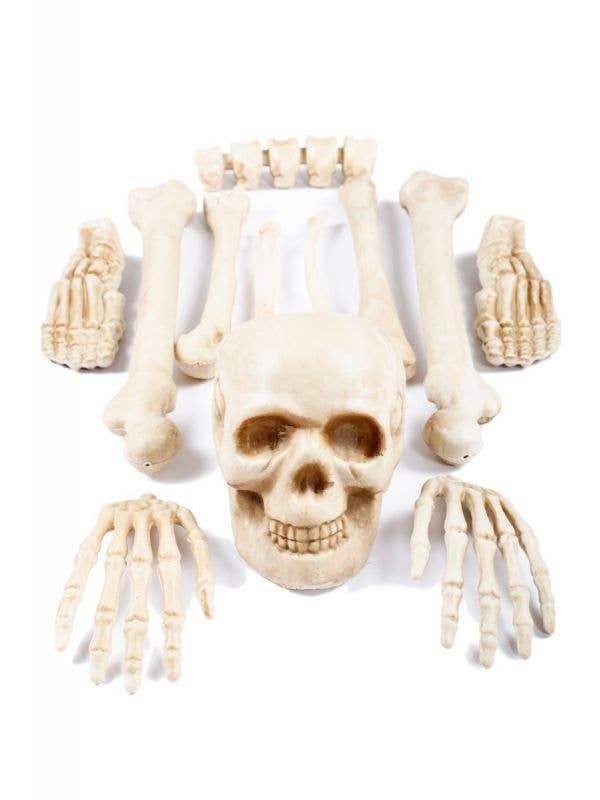 Bag of Bones Skeleton Halloween Decoration - Main Image