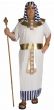 Men's Plus Size Egyptian Pharaoh Fancy Dress Costume Front