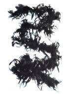 Image of Burlesque Black Feather Boa Costumes Accessory