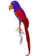 Novelty Blue And Red Pirate's Shoulder Parrot Costume Accessory Main Image