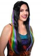Womens Long Black Costume Wig with Rainbow Streaks and Fishtail Braid - Front Image