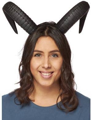 Image of Soft Grey Foam 19cm Goat Horns Costume Headband - Main Image