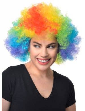 Adults Rainbow Afro Circus Clown Costume Wig