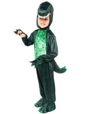 Image of Dark Green Dinosaur Boys Dress Up Costume