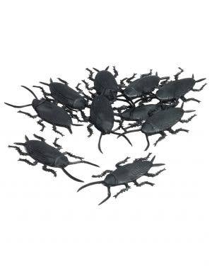 12 Pack of Black Cockroaches