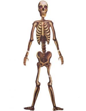 Hanging Cut Out Skeleton Halloween Decoration