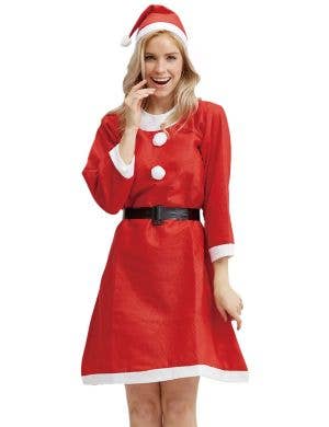 Mrs Claus Womens Basic Christmas Costume