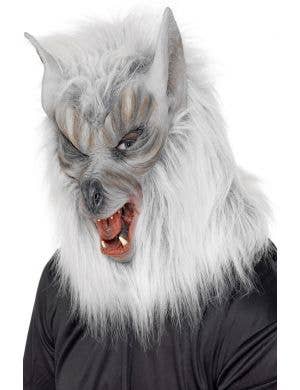 Grey Wolf Men's Latex Costume Mask Main Image