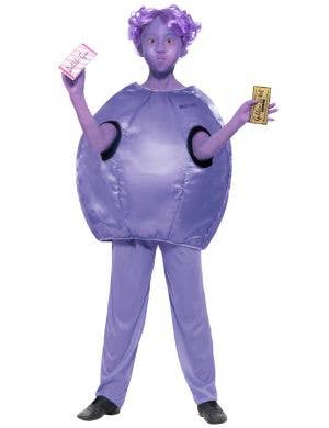 Girls Willy Wonka Violet Beauregarde Blueberry Book Week Costume Front Image
