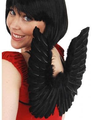 Small Black Feather Angel Wings with Silver Tinsel Main Image